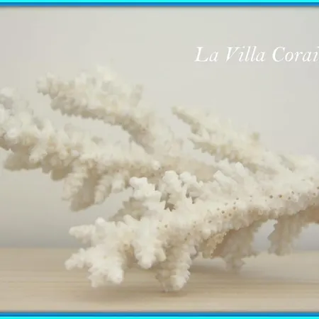 Проживание в семье La Corail, Piscine Chauffee De Juin A Sep Ле-Хаиллан
